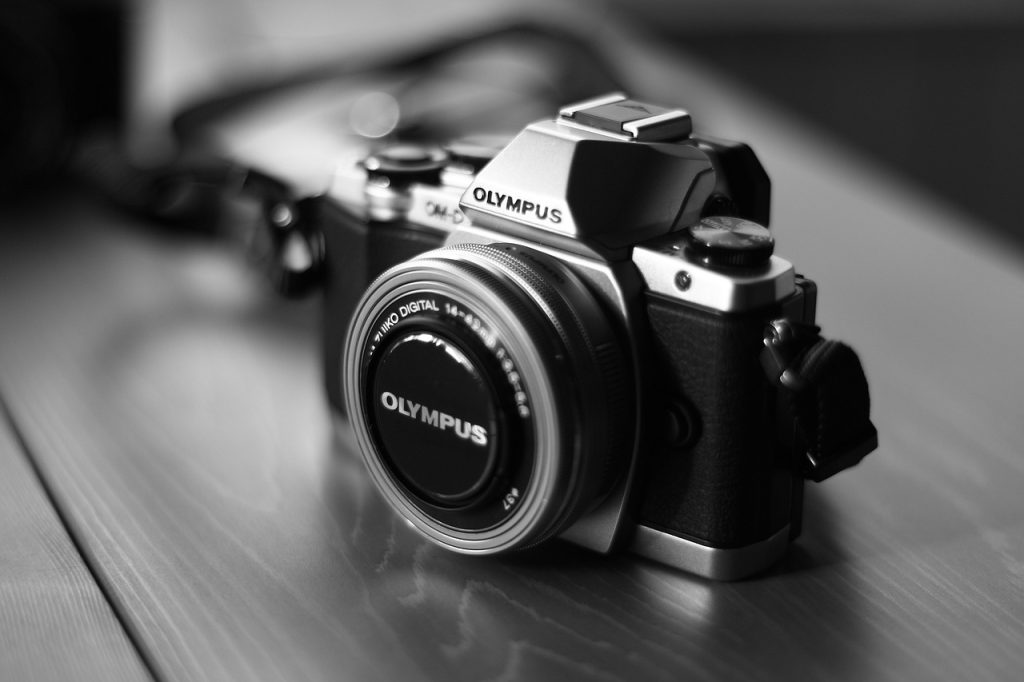 Les meilleurs appareils photo pour photographier les oiseaux