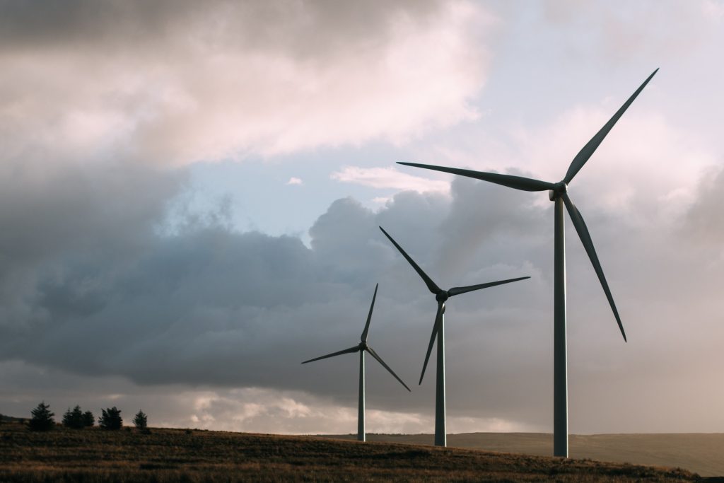Éoliennes et oiseaux migrateurs : quand les parcs industriels perturbent les couloirs de migration