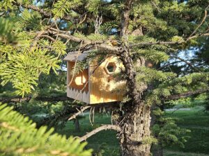 Nettoyer les nichoirs à l&rsquo;automne : quand, comment et pourquoi c&rsquo;est utile aux oiseaux